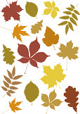 Mini Autumn Leaves Wall Stickers